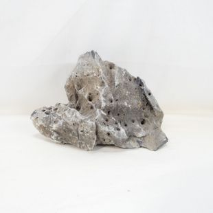 Roca Amano (Seiryu/Ryouh) para decorar acuarios en tienda online pzes Alcorcón: el mejor hardscape con envíos seguros y animales sanos.