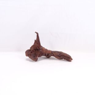 Comprar online madera cuerno pequeña para acuario en tienda online tienda.pzes.es