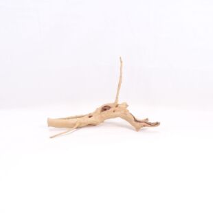 Comprar online raíz Slim pequeña con varias ramitas para acuarios en tienda Pzes Alcorcón.