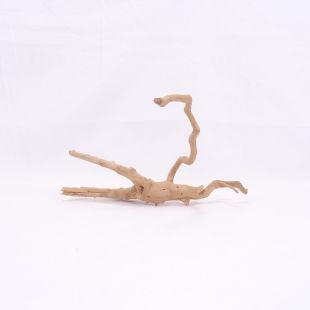 Comprar online raíz Slim pequeña con varias ramitas para acuarios en tienda Pzes Alcorcón.