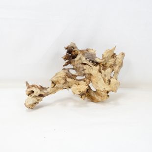 Comprar online madera dragón pequeña, bonita, decorativa y alargada con agujeros en tienda online de peces y acuarios especializada: Pzes Alcorcón.