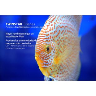 Twinstar s3 en tienda online