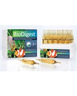 Prodibio BioDigest Cultivo de bacteria ciclado caja de 30 ampollas.