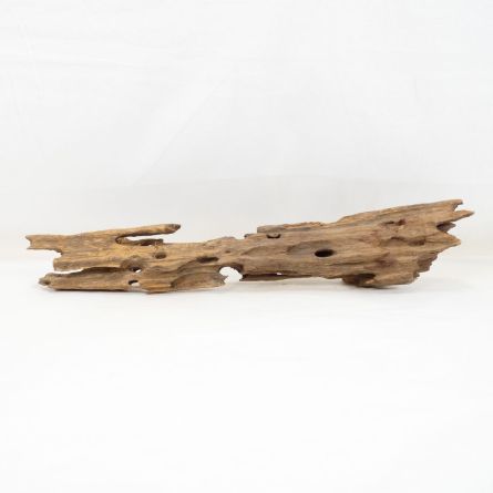 Madera Dragón para decorar acuarios en tienda.pzes.es: el mejor hardscape online para urnas y acuarios. Peces sanos, profesionalidad garantizada.