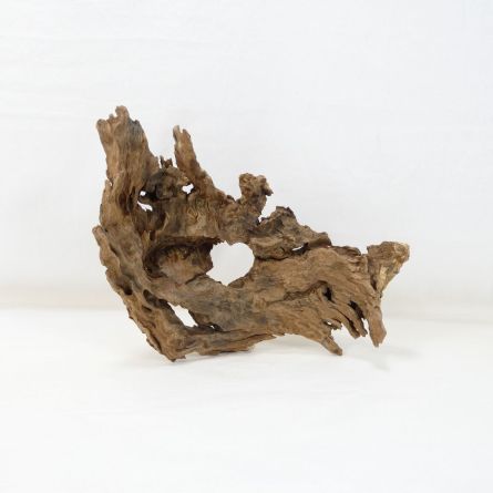 Madera Dragón para decorar acuarios en tienda.pzes.es: el mejor hardscape online para urnas y acuarios. Peces sanos, profesionalidad garantizada.