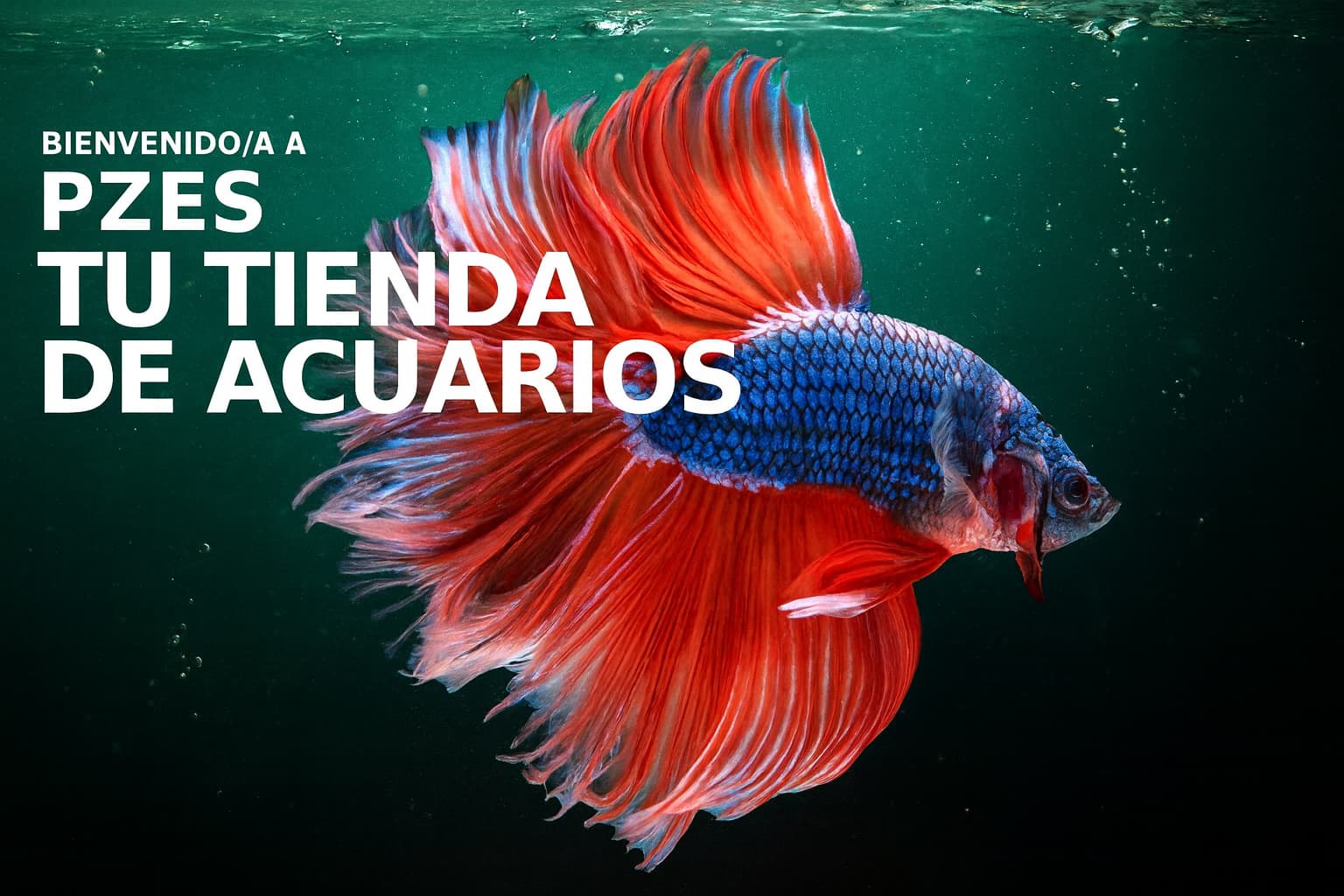 Tu ienda de peces en Alcorcón